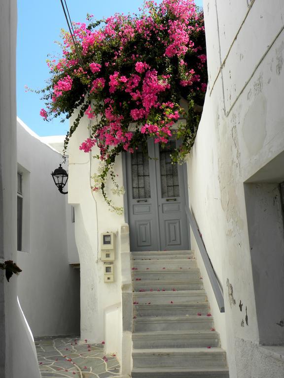 Hotel Anixis Naxos City Exteriér fotografie